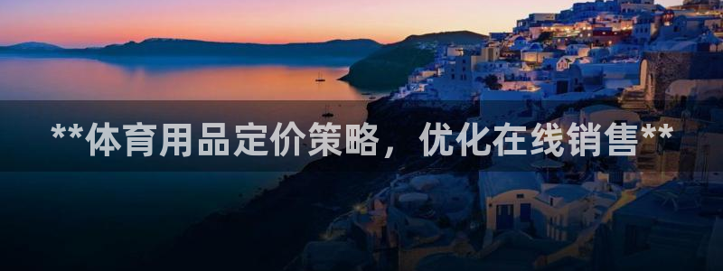 意昂体育3娱乐：**体育用品定价策略，优化在线销售**