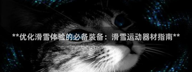 意昂3娱乐：**优化滑雪体验的必备装备：滑雪运动器材
