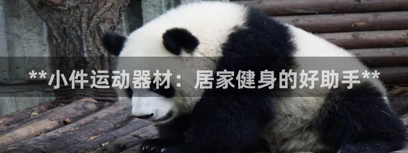 意昂集团官网：**小件运动器材：居家健身的好助手**