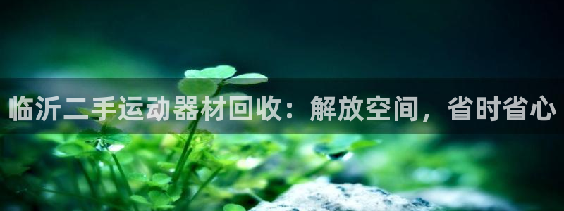 意昂3集团官网首页网址：临沂二手运动器材回收：解放空