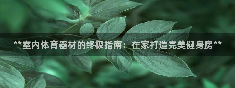 意昂3娱乐是那个系列的台子：**室内体育器材的终极指