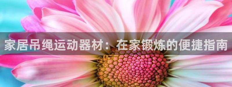 意昂体育3官方客服电话：家居吊绳运动器材：在家锻炼的