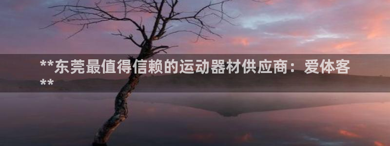 意昂3娱乐：**东莞最值得信赖的运动器材供应商：爱体