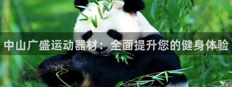 意昂体育3招商电话号码是多少：中山广盛运动器材：全面