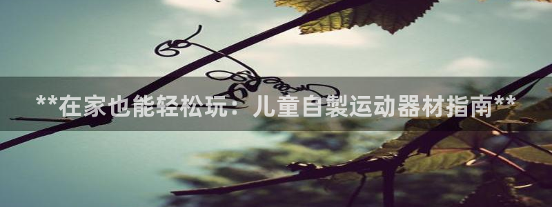 意昂3娱乐首页官网下载：**在家也能轻松玩：儿童自製运动器材