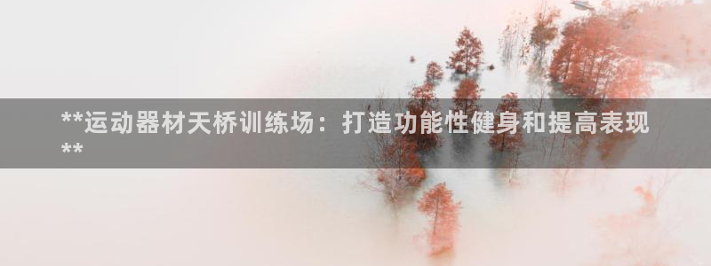意昂3娱乐下载：**运动器材天桥训练场：打造功能性健