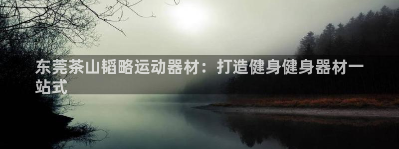 意昂3神州：东莞茶山韬略运动器材：打造健身健身器材一