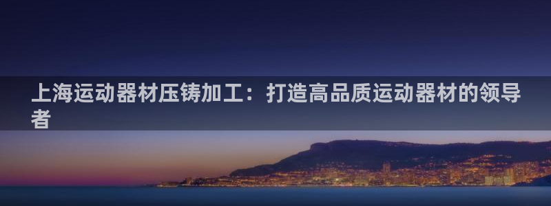 意昂体育3招商电话号码查询：上海运动器材压铸加工：打
