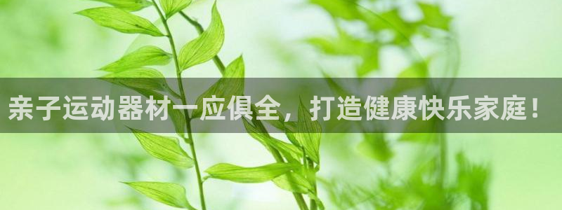 意昂体育3招商电话是多少号码：亲子运动器材一应俱全，