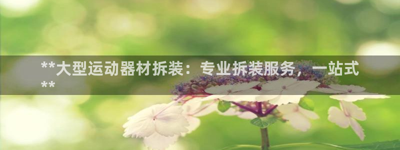 意昂平台体育：**大型运动器材拆装：专业拆装服务，一