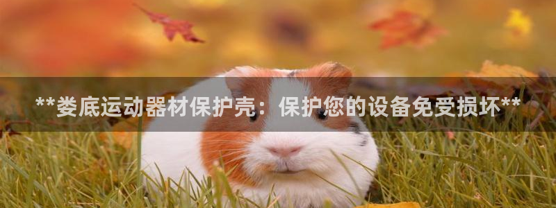 意昂体育3平台注册流程图：**娄底运动器材保护壳：保
