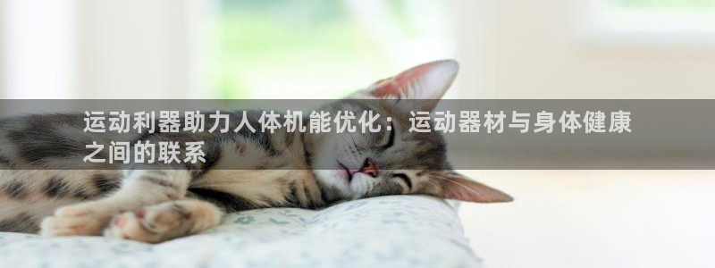 意昂体育3招商电话地址查询：运动利器助力人体机能优化：运动器