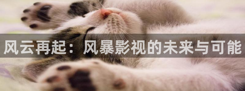 殇情影院影院