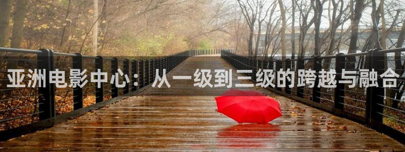 殇情影院4138理论片：亚洲电影中心：从一级到三级的跨越与融合