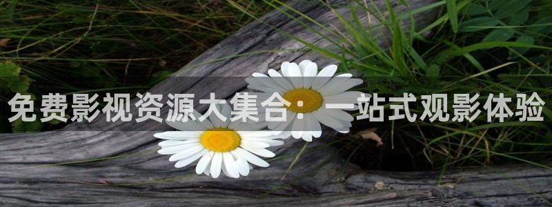 青苹果影院殇情影院：免费影视资源大集合：一站式观影体验