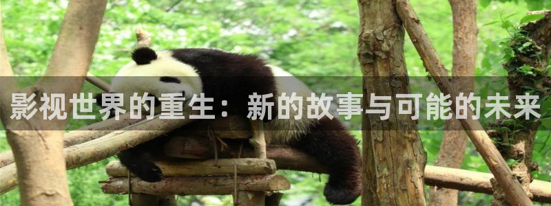 殇情影院yy：影视世界的重生：新的故事与可能的未来