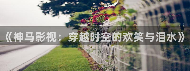 殇情影院yy 6080