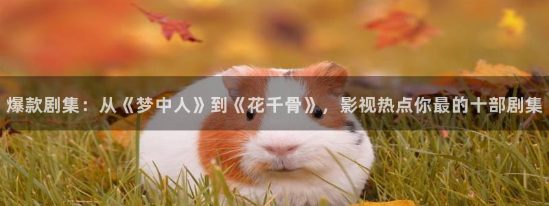 殇情影院6080