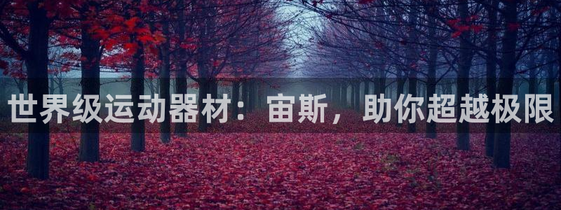 意昂3娱乐是那个系列的台子：世界级运动器材：宙斯，助