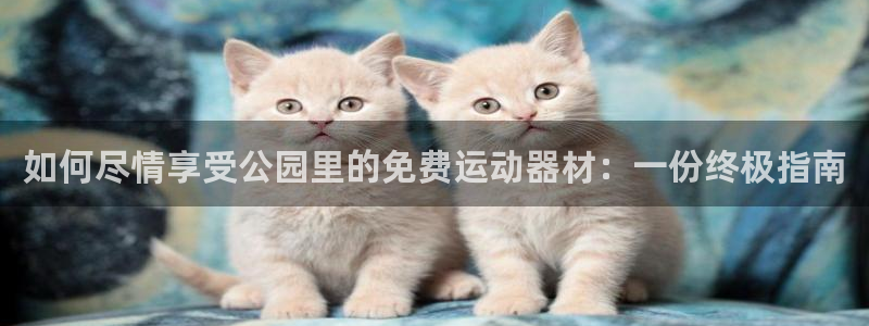 意昂体育3招商电话号码查询是多少：如何尽情享受公园里