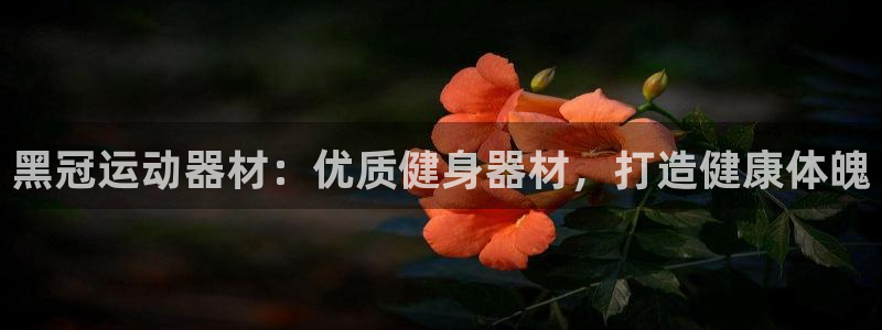 意昂3新能源：黑冠运动器材：优质健身器材，打造健康体