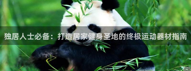 意昂3集团官网首页网址：独居人士必备：打造居家健身圣