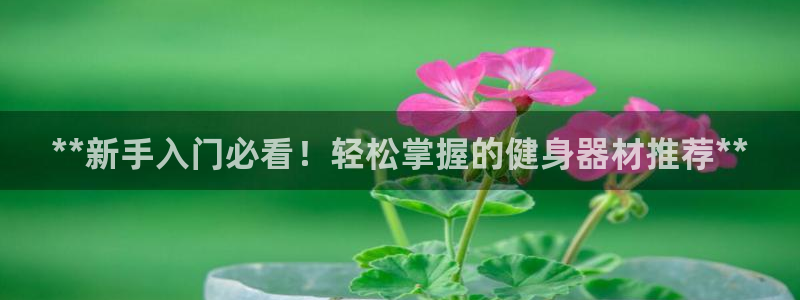 意昂体育3开户：**新手入门必看！轻松掌握的健身器材