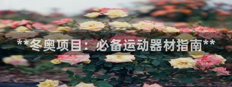意昂体育3开户：**冬奥项目：必备运动器材指南**