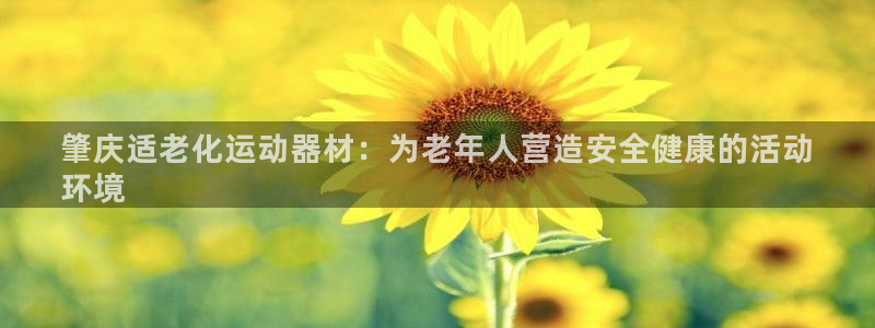 注册意昂3：肇庆适老化运动器材：为老年人营造安全健康
