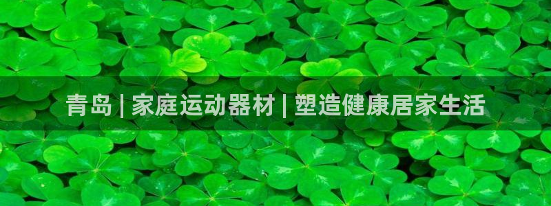 意昂3娱乐代理怎么样：青岛 | 家庭运动器材 | 塑