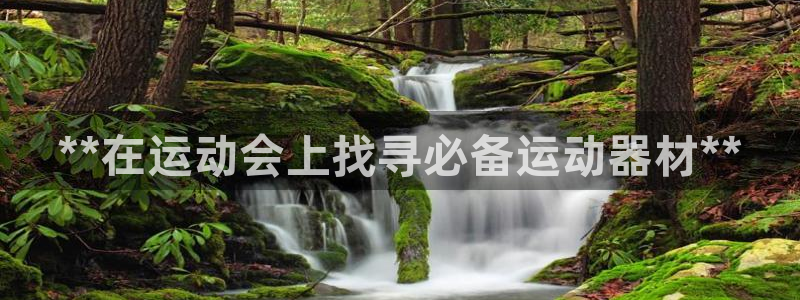 意昂体育3招商电话号码是多少号：**在运动会上找寻必