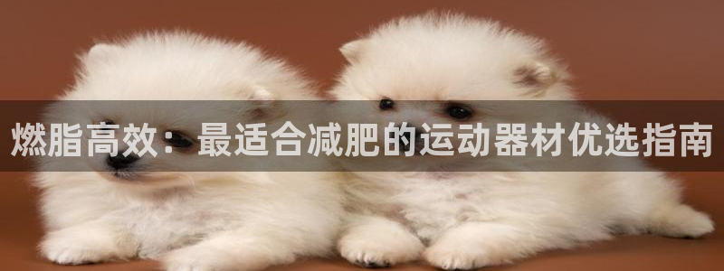 意昂3五金厂：燃脂高效：最适合减肥的运动器材优选指南