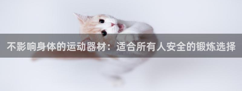 意昂3集团E.ON：不影响身体的运动器材：适合所有人