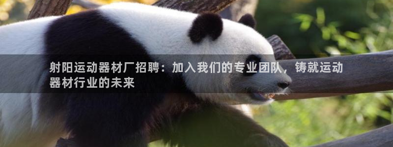 意昂3新能源：射阳运动器材厂招聘：加入我们的专业团队