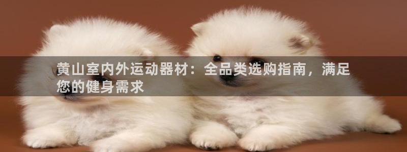 意昂集团官网：黄山室内外运动器材：全品类选购指南，满