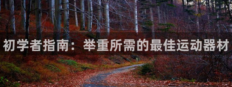 注册意昂3：初学者指南：举重所需的最佳运动器材