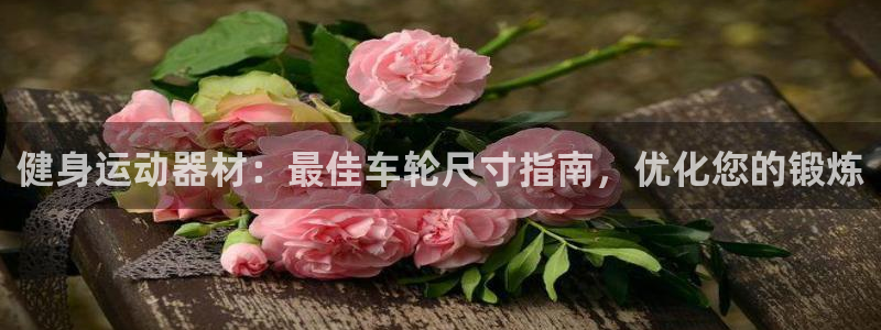 意昂3代理：健身运动器材：最佳车轮尺寸指南，优化您的