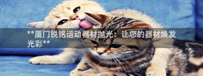 意昂3集团官网首页网址：**厦门锐铭运动器材抛光：让