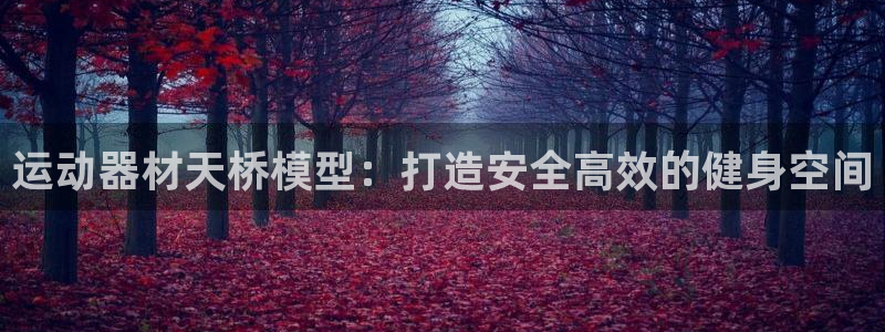 意昂3娱乐：运动器材天桥模型：打造安全高效的健身空间