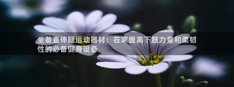 意昂3娱乐代理怎么样：坐着直伸腿运动器材：在家提高下