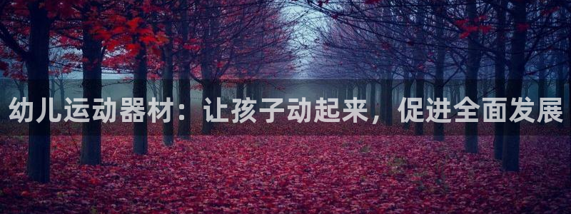 德国意昂3集团：幼儿运动器材：让孩子动起来，促进全面