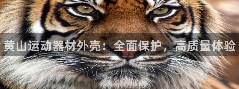 意昂体育3平台注册：黄山运动器材外壳：全面保护，高质