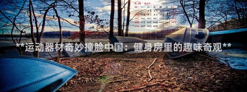 意昂体育3招商：**运动器材奇妙撞脸中国：健身房里的