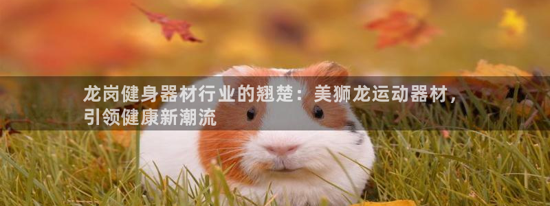 意昂体育3招商电话是多少啊：龙岗健身器材行业的翘楚：