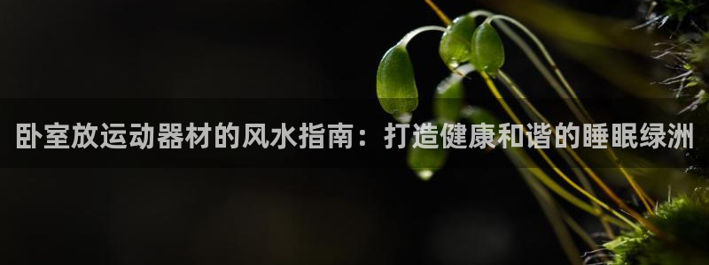 意昂体育3注册：卧室放运动器材的风水指南：打造健康和