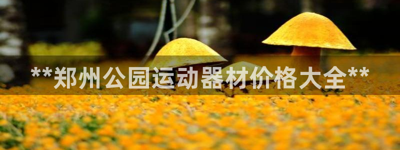 注册意昂3：**郑州公园运动器材价格大全**