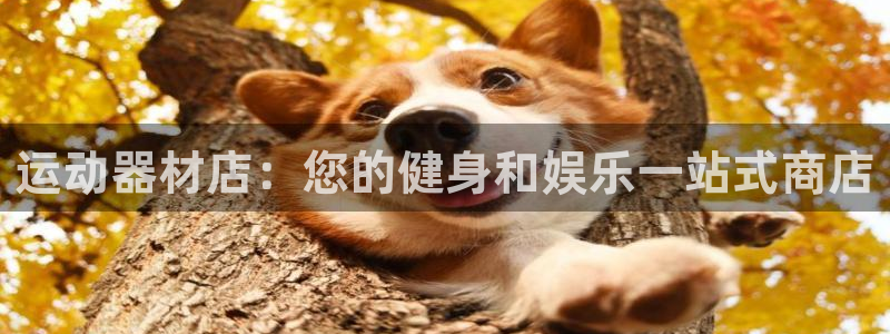 意昂3娱乐网站：运动器材店：您的健身和娱乐一站式商店