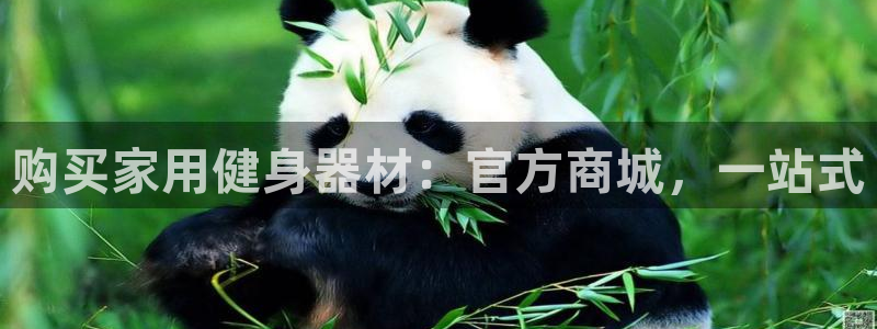 意昂体育3平台注册要钱吗是真的吗：购买家用健身器材：