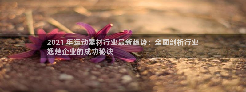 意昂体育3招商电话号码：2021 年运动器材行业最新