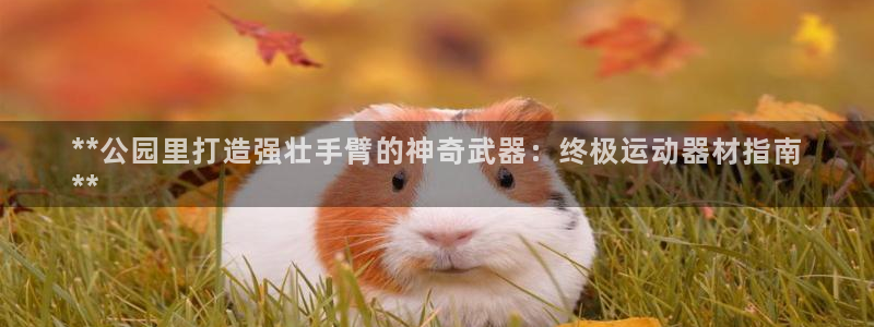 意昂3娱乐40996：**公园里打造强壮手臂的神奇武